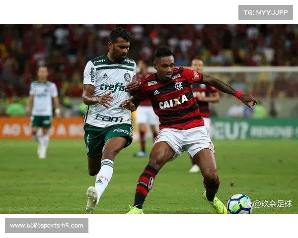 南美解放者杯博塔弗戈新援首秀破门